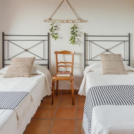 Casa Rural En Candeleda Con Piscina Y Un Maravilloso Jardin 외부 사진