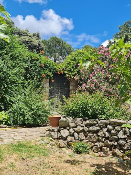 Casa Rural En Candeleda Con Piscina Y Un Maravilloso Jardin 외부 사진