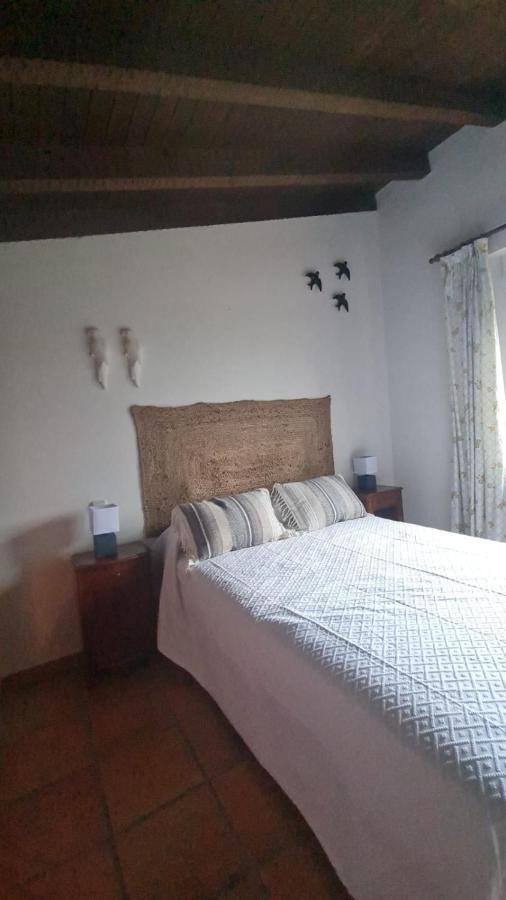 Casa Rural En Candeleda Con Piscina Y Un Maravilloso Jardin 외부 사진