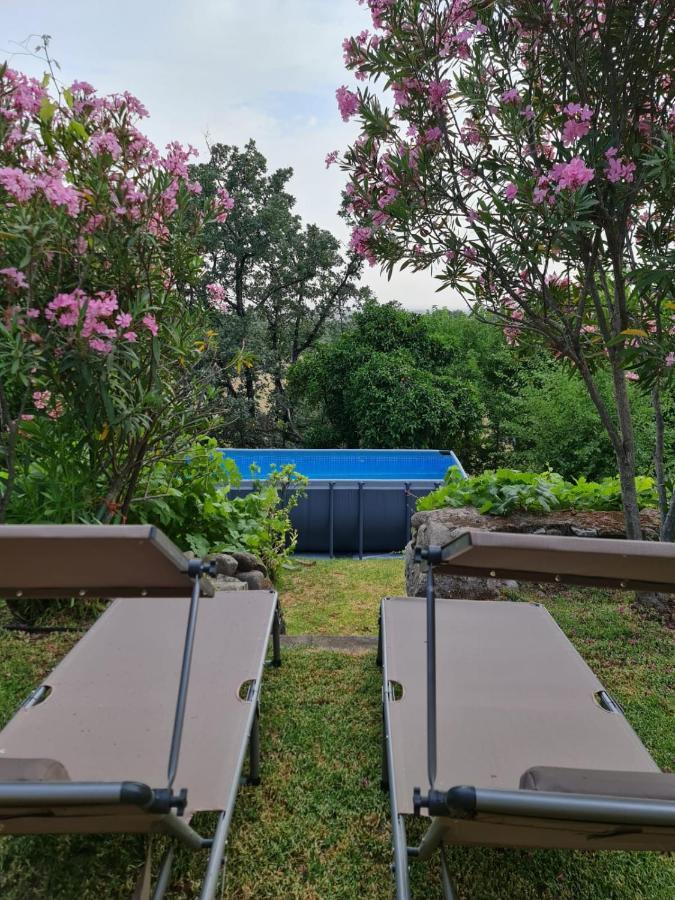 Casa Rural En Candeleda Con Piscina Y Un Maravilloso Jardin 외부 사진