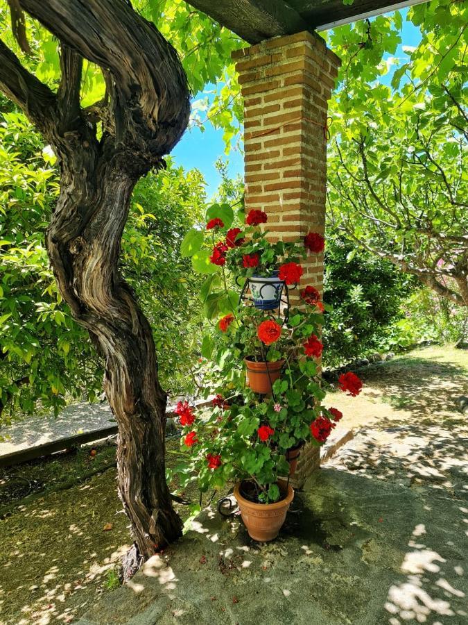 Casa Rural En Candeleda Con Piscina Y Un Maravilloso Jardin 외부 사진