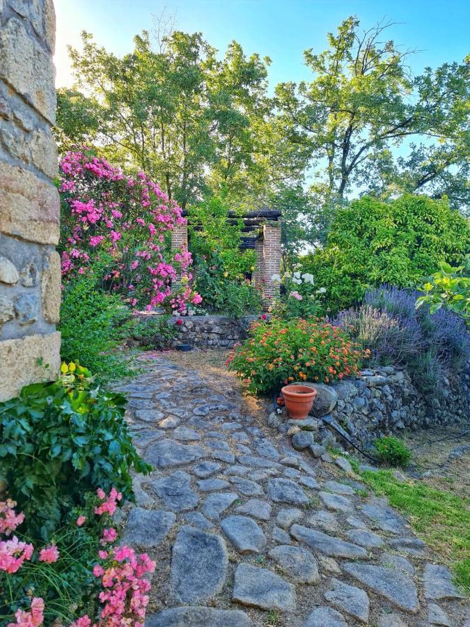 Casa Rural En Candeleda Con Piscina Y Un Maravilloso Jardin 외부 사진
