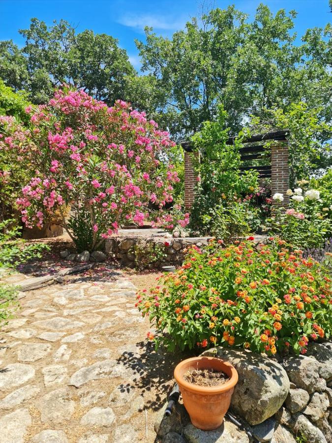 Casa Rural En Candeleda Con Piscina Y Un Maravilloso Jardin 외부 사진