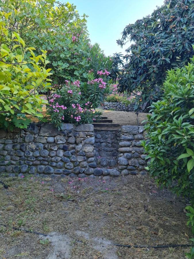 Casa Rural En Candeleda Con Piscina Y Un Maravilloso Jardin 외부 사진