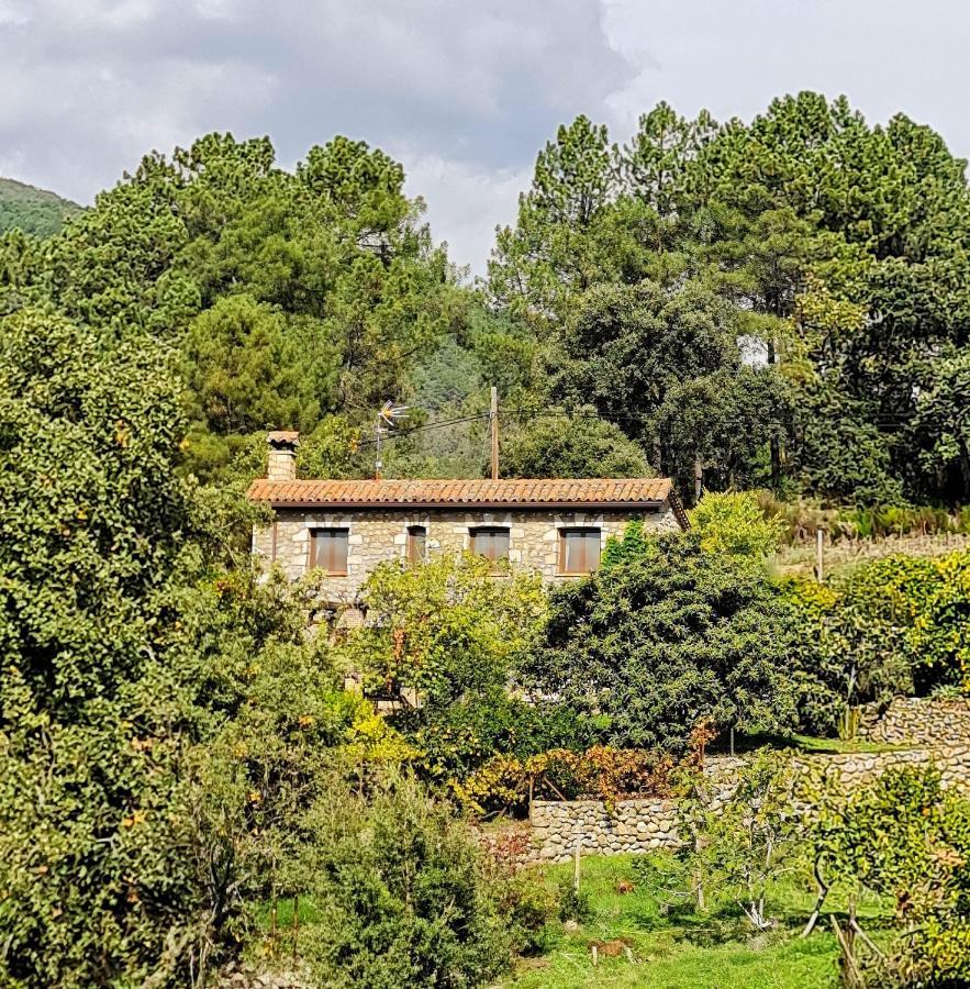 Casa Rural En Candeleda Con Piscina Y Un Maravilloso Jardin 외부 사진