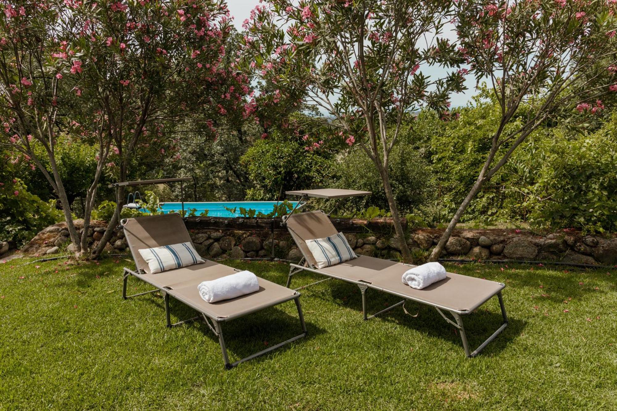 Casa Rural En Candeleda Con Piscina Y Un Maravilloso Jardin 외부 사진