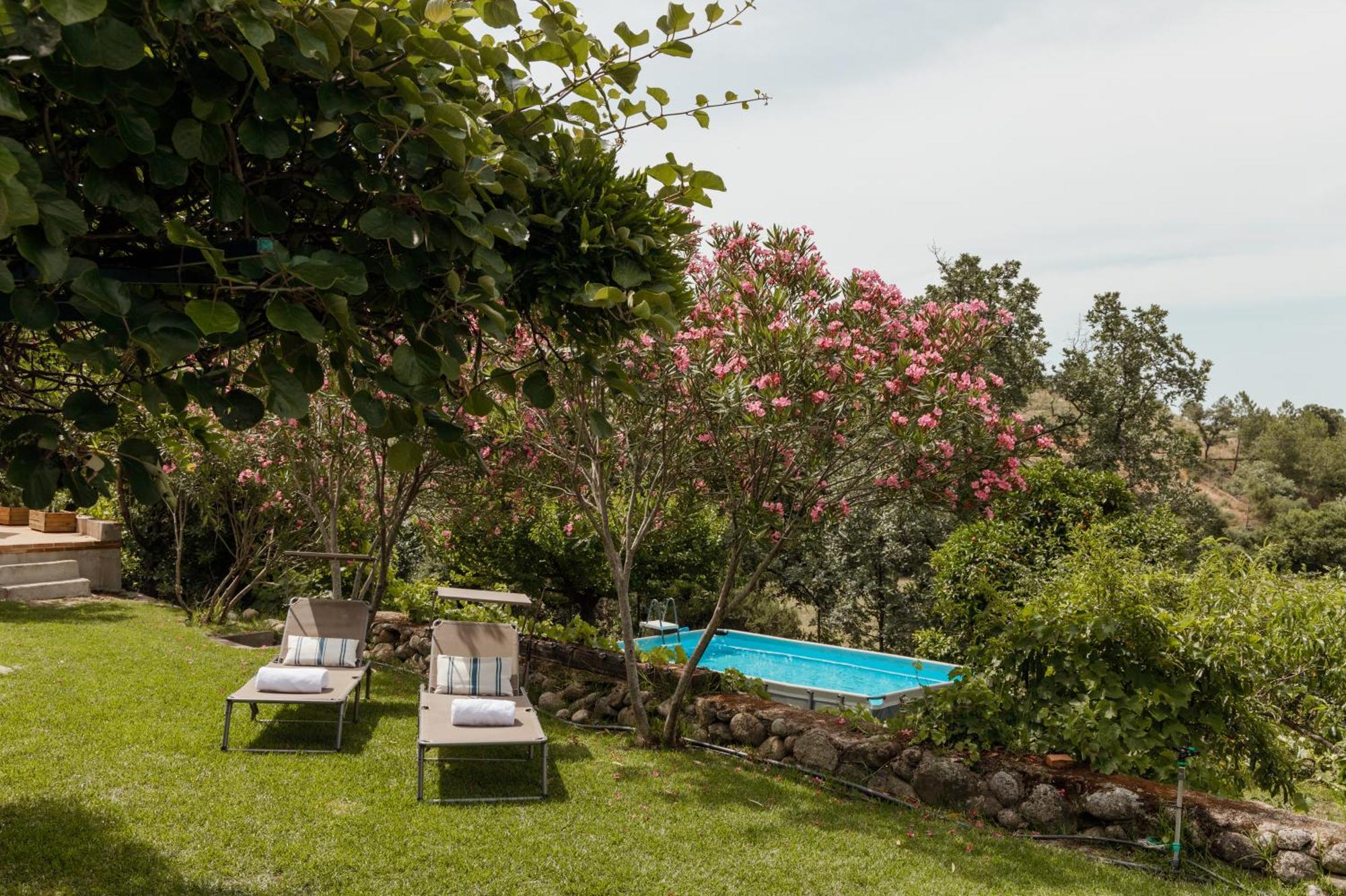 Casa Rural En Candeleda Con Piscina Y Un Maravilloso Jardin 외부 사진