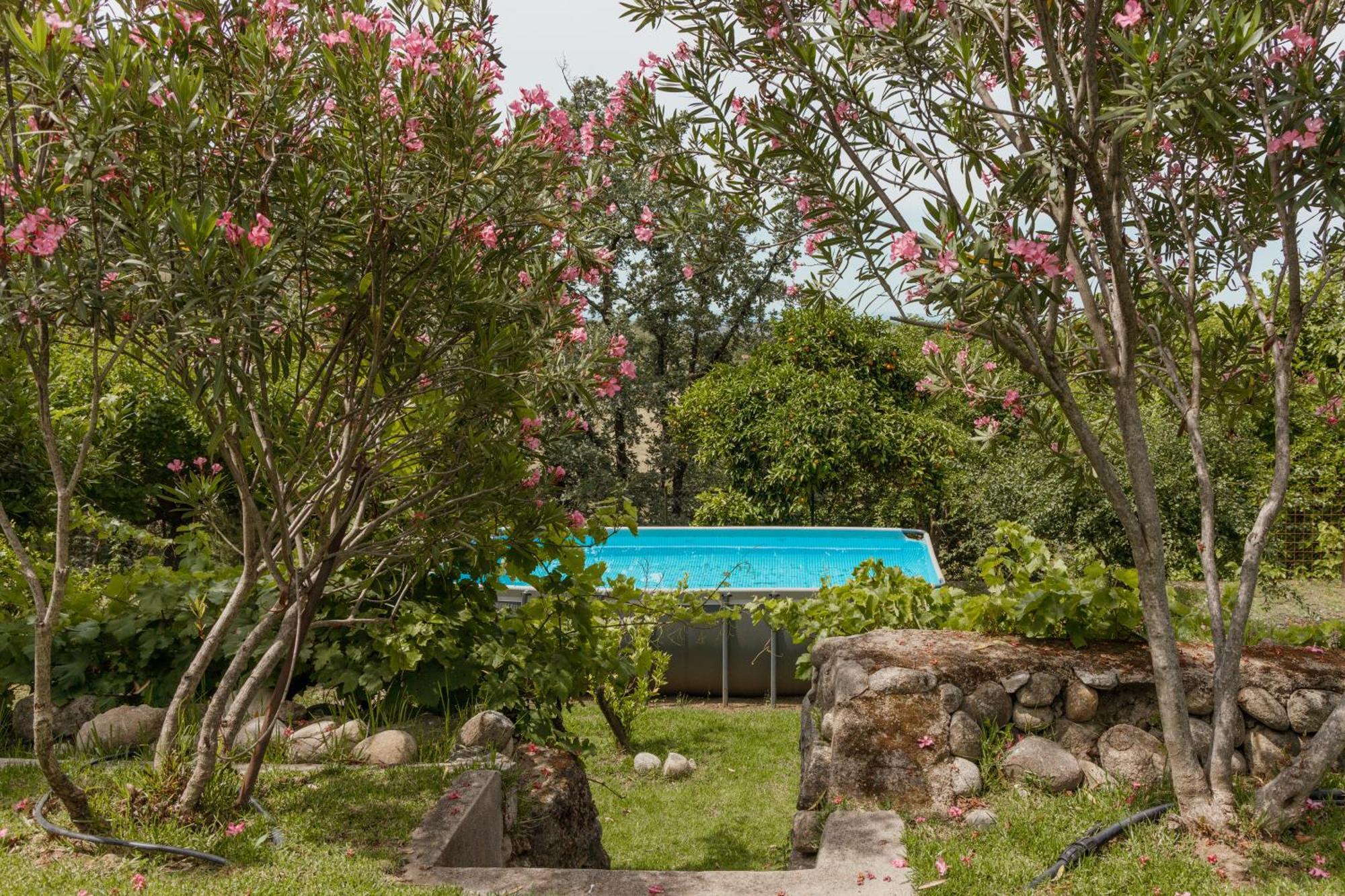 Casa Rural En Candeleda Con Piscina Y Un Maravilloso Jardin 외부 사진